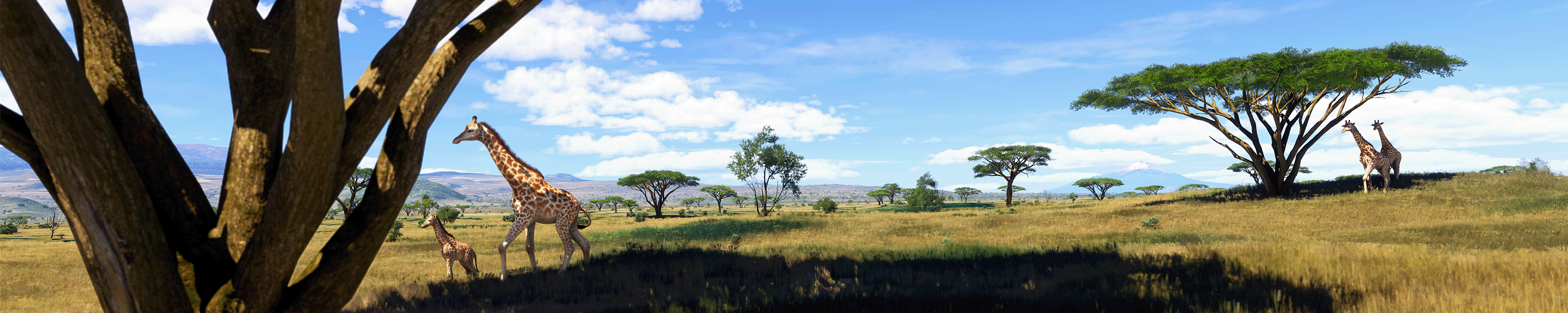 Microsoft Flight Simulator 2024 (PC / Xbox Series X|S) thumbnail