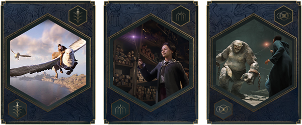 Hogwarts Legacy Deluxe Edition thumbnail